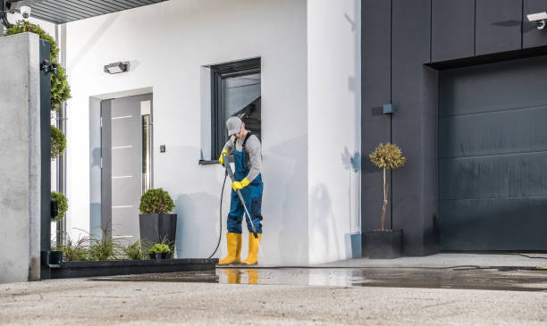 Animal Enclosure Cleaning in Belvedere, CA